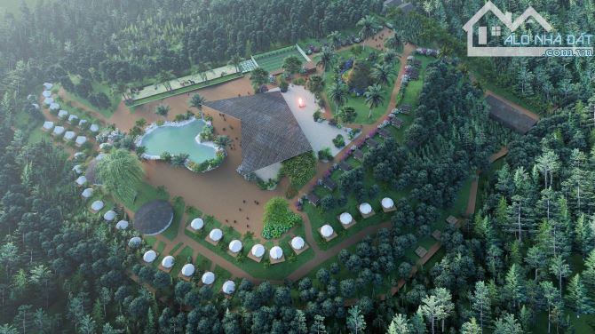 🏞 SANG NHƯỢNG 981.000m² ĐẤT ĐỒI – VIEW SÔNG NƯỚC & ĐÈN THÔN XÓM 📍 Xã La Ngà, Huyện Đ - 3