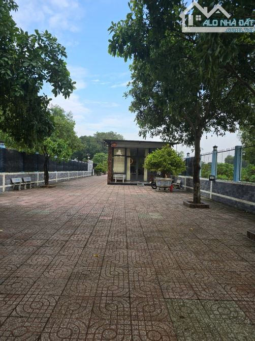 3000m nhà vườn tại phú hội nhơn trạch - 4
