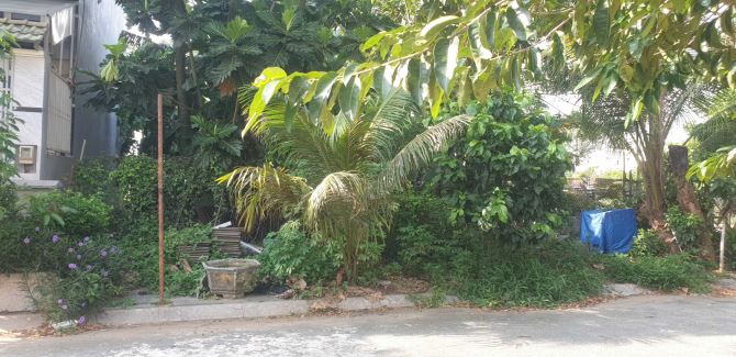 Bán lô đất nền nhà phố khu Tam Đa - Trường Thạnh - Thành phố Thủ Đức. Sổ hồng giá rẻ - 4