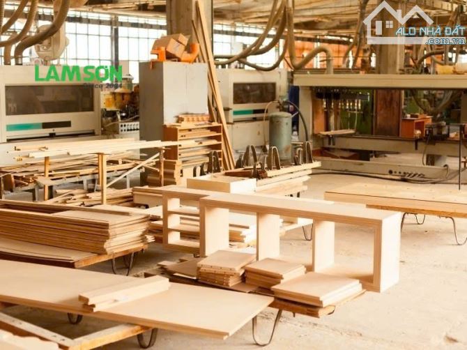 Bán xưởng gỗ rộng gần 2.000m2. MẶT TIỀN QL80 Châu Thành, Đồng Tháp. - 4
