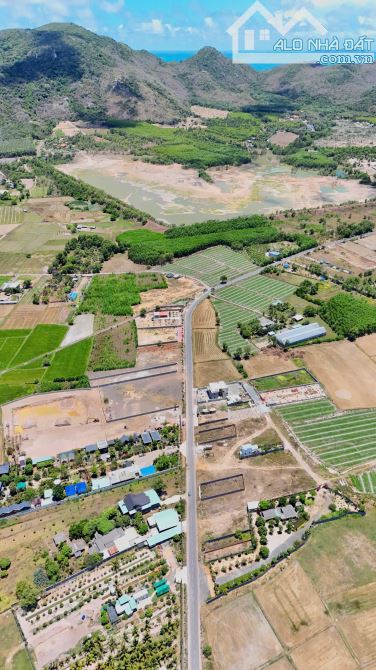 Bán 532m khu cánh đồng gió phước hải - 4