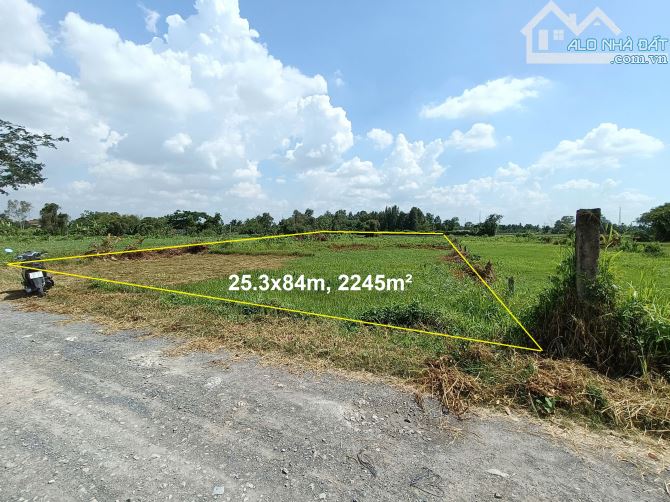 Bán Đất Mặt Tiền Kênh Đá Hàn Xã Bình Mỹ, Củ Chi, Gần Vành Đai 3, Giá Chỉ 4 Triệu/m² - 4