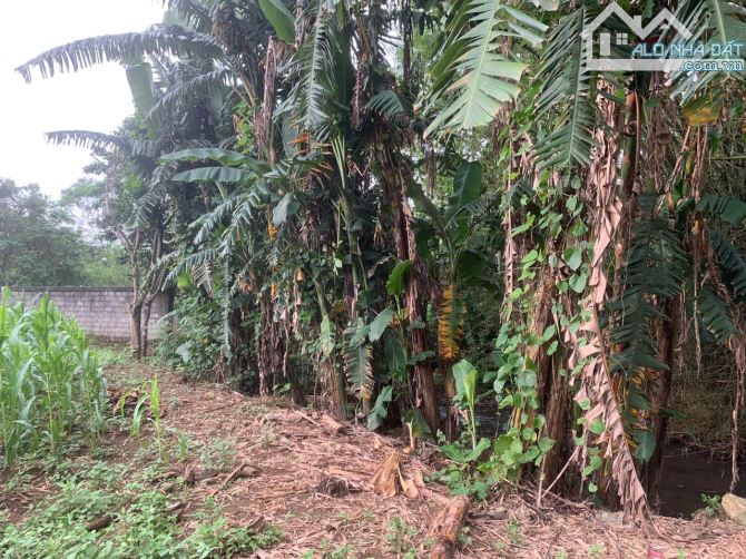 Bán 801m/200m TC tại Lương Sơn suối chảy trong đất, giáp Cư Yên giá chỉ 2,6 tỷ. - 4