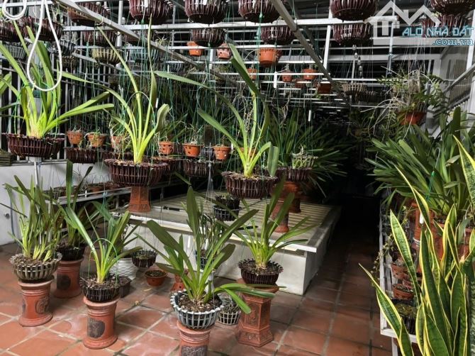 🌟 SIÊU PHẨM BIỆT THỰ 5 TẦNG – ĐIỆN BIÊN PHỦ 🎯 FULL NỘI THẤT CAO CẤP – GIÁ BẤT NGỜ! - 4