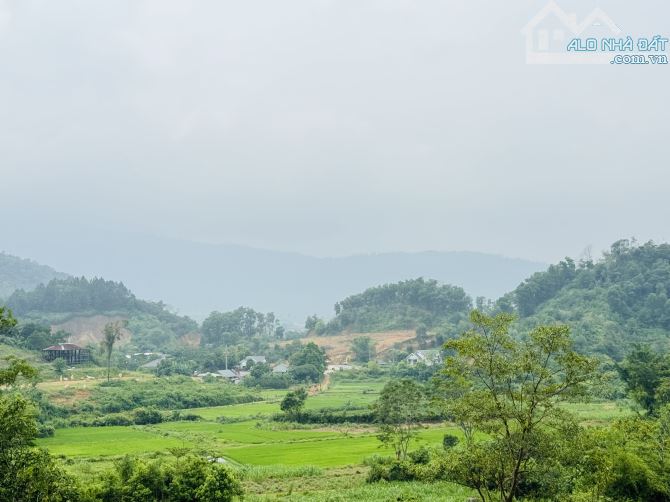 1000M2 (20X50M) 7 TỶ VIEW CAO ĐẸP THOÁNG CẦN BÁN - 4