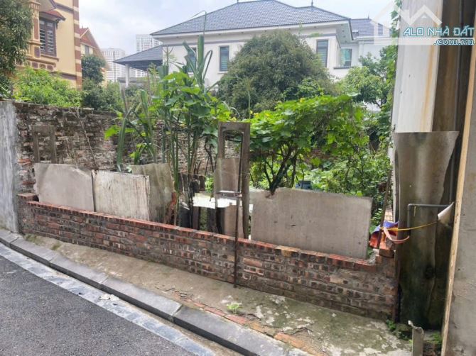 Bán đất Đông Hôi, Đông Anh,46m2,hơn 4 tỉ, ngõ thông, hàng xóm Vinhomes Cổ Loa, cầu Tứ Liên - 4