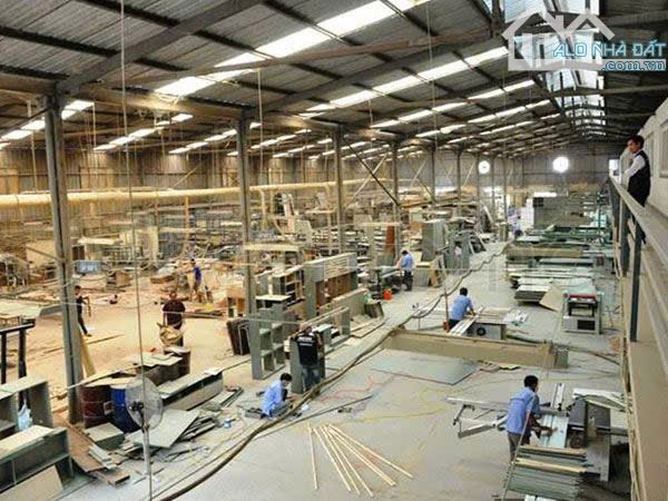 Bán xưởng gỗ rộng gần 2.000m2. MẶT TIỀN QL80 Châu Thành, Đồng Tháp. - 5