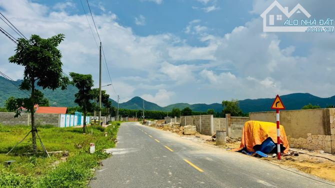 Bán 532m khu cánh đồng gió phước hải - 5