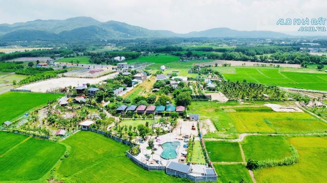 Bán 532m khu cánh đồng gió phước hải - 6