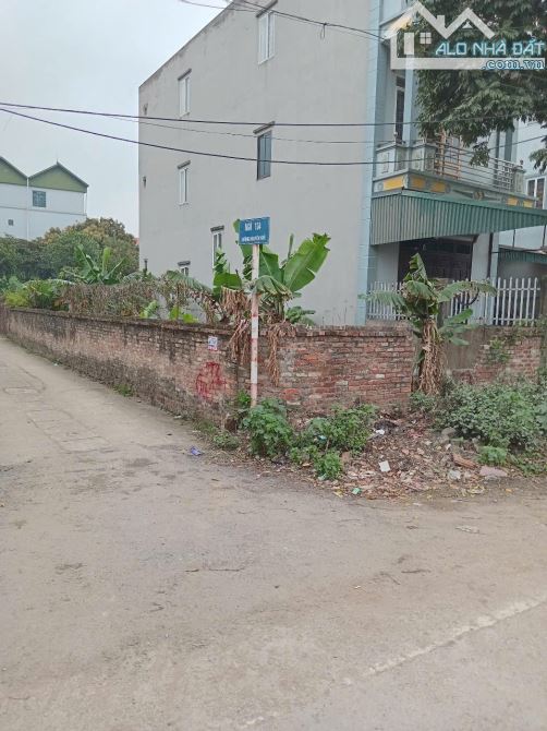 ✌️🇻🇳 Mặt tiền đường Lê Hữu Tựu - Lô Góc - View trường học - Sơn Du - Nguyên Khê 🇻🇳✌️ - 6