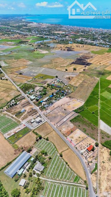 Bán 532m khu cánh đồng gió phước hải - 7