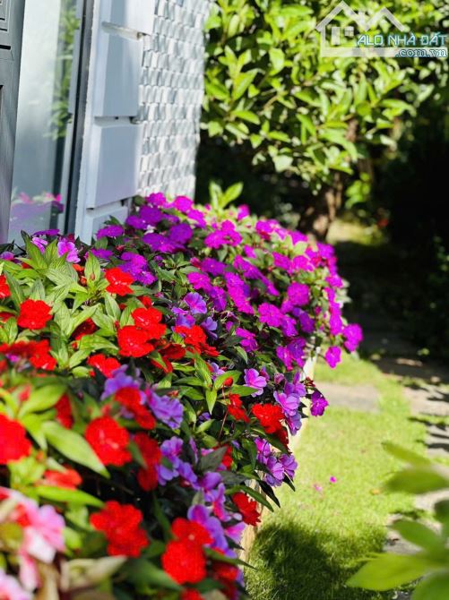 🏡 CẦN BÁN VILLA 7 PHÒNG CĂN HỘ – ĐƯỜNG CÙ CHÍNH LAN, PHƯỜNG 8, TP. ĐÀ LẠT - 8