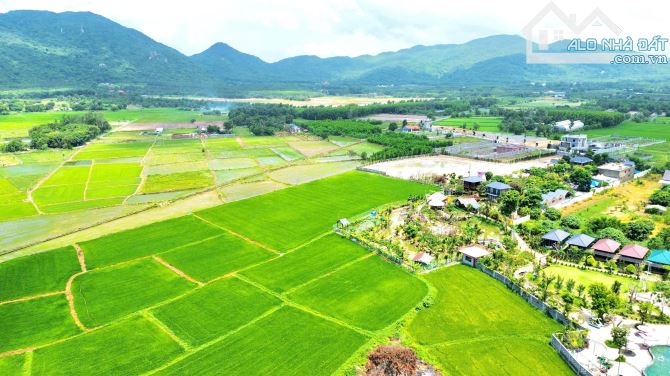 Bán 532m khu cánh đồng gió phước hải - 8
