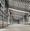 Cho thuê kho xưởng 3000m2 - 10.000m2  khu công nghiệp Tân Kim, Cần Giuộc, Long An
