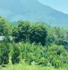 1000M2 (20X50M) 7 TỶ VIEW CAO ĐẸP THOÁNG CẦN BÁN