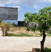 Cần bán lô đất Thôn Tây 2, xã Diên Sơn, Diên Khánh. Diện tích : 148,5m2