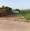 Bán Đất - Phú Hạ(Minh Phú) - 300M2 Full Thổ Cư - 7,9 Tỷ - Đường Thông Ô Tô Tránh