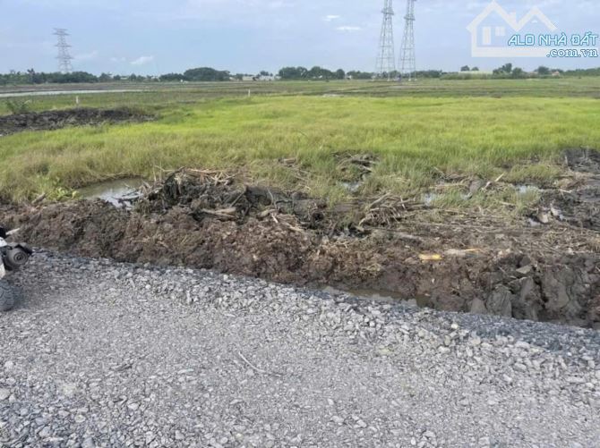 Bán nền đất 36.5x44m (1.688m2) khu vực 4, thị trấn Đức Hòa, Long An giá 4.8 tỷ - 3