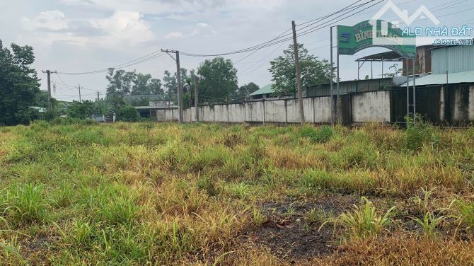 CƠ HỘI TỐT CHO NHÀ ĐẦU TƯ – BÁN ĐẤT MẶT TIỀN ĐƯỜNG TÂN HIỀN, PHƯỜNG TRẢNG DÀI, ĐỒNG NAI