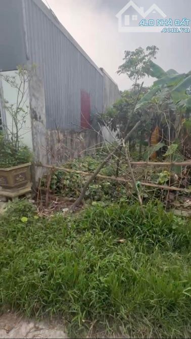 CƠ HỘI ĐẦU TƯ SINH LỜI ĐÂY Ạ Chính chủ em cần bán đất ĐẨU SƠN VĂN ĐẨU KIẾN AN Diện tích 10