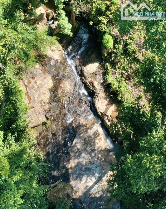 3 HECTA ĐẤT TRIỀN VIEW ĐỒI THÔNG - ĐÀ LẠT