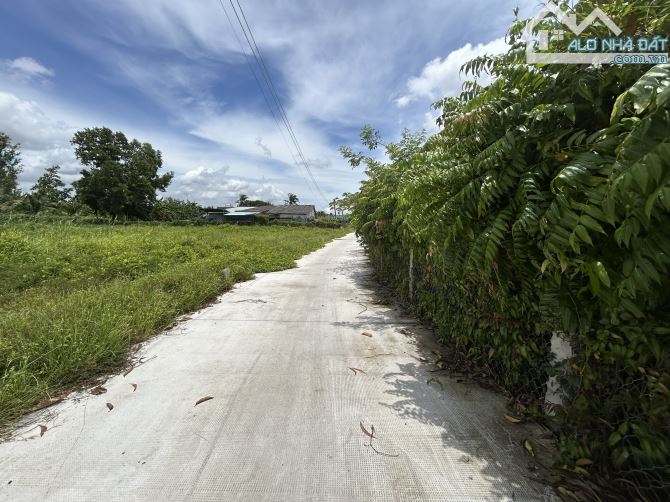 ✅ Bán đất thổ hẽm Bùi Tấn thuộc Xã Nhơn Thạnh Trung , Tp Tân An _ Diện Tích : 4.5 x 40m2