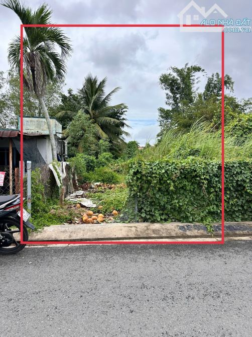 CHỦ GƯI BÁN ĐẤT ĐƯỜNG LÊ THỊ HỒNG GẤM GẦN CẦU TRÀ NÓC CẦN THƠ 2 MẶT TIỀN 1ty390
