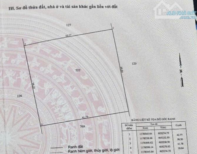 Đất Lúa cách Ngô Quang Thắm 200m - 1655m2 - Giá tốt đầu tu
