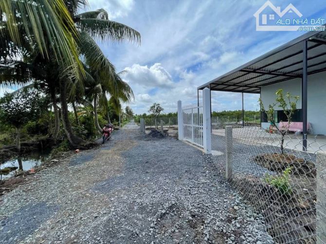Chủ gửi bán nhà vườn 500m2 vườn. Tân Thành - Thủ thừa - long an - 10