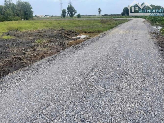 Bán nền đất 36.5x44m (1.688m2) khu vực 4, thị trấn Đức Hòa, Long An giá 4.8 tỷ - 4