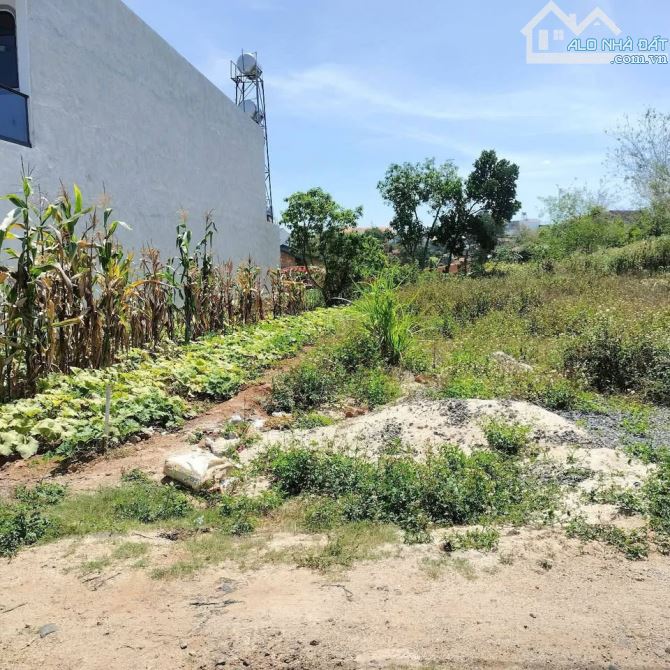 Đất thổ cư giá Rẻ-Phường Hàm Thắng-Lâm Đồng-119m2+128m2 -View sông Phú Hài - 1