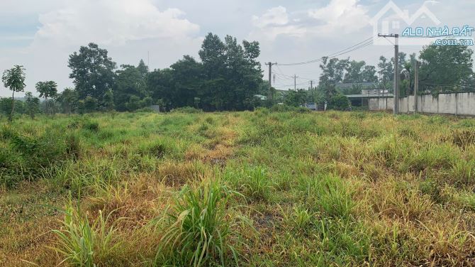 CƠ HỘI TỐT CHO NHÀ ĐẦU TƯ – BÁN ĐẤT MẶT TIỀN ĐƯỜNG TÂN HIỀN, PHƯỜNG TRẢNG DÀI, ĐỒNG NAI - 1
