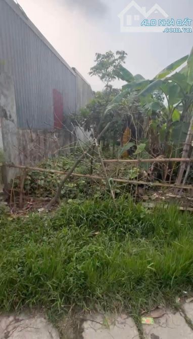 CƠ HỘI ĐẦU TƯ SINH LỜI ĐÂY Ạ Chính chủ em cần bán đất ĐẨU SƠN VĂN ĐẨU KIẾN AN Diện tích 10 - 1