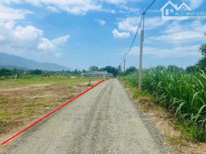🔥 Chỉ 590tr sở hữu 174,1m² full thổ cư xã Cam Lâm – đất ở giữ lại, đường ô tô - 1