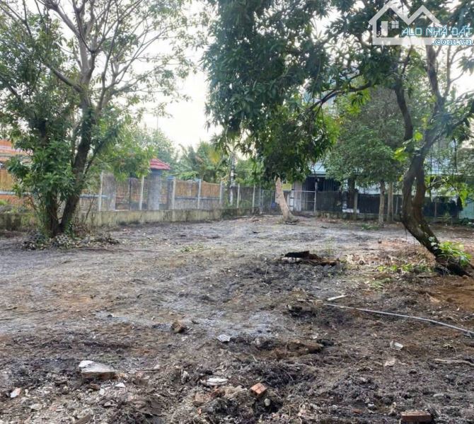 🌳 BÁN LÔ GÓC NGANG 13m x DÀI 30m (400m²) – AN SƠN 24 – 4,9 TỶ 🌳 - 1