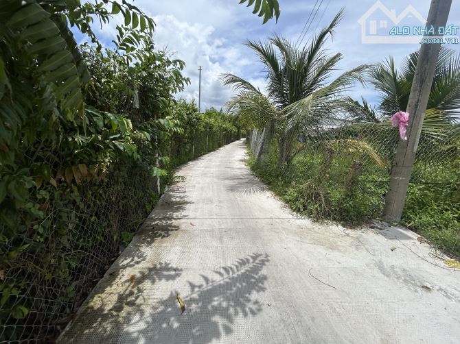 ✅ Bán đất thổ hẽm Bùi Tấn thuộc Xã Nhơn Thạnh Trung , Tp Tân An _ Diện Tích : 4.5 x 40m2 - 1