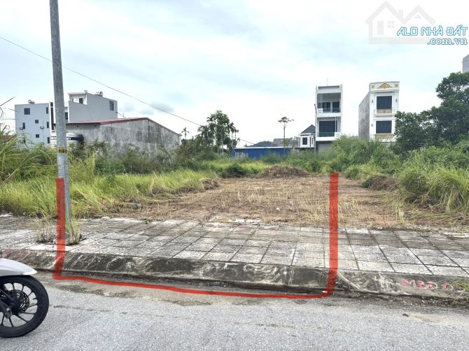 👉Bảng hàng TDC Hoa Động giá đầu tư tiềm năng nhất lúc này của Thuỷ Nguyên Hải Phòng - 3
