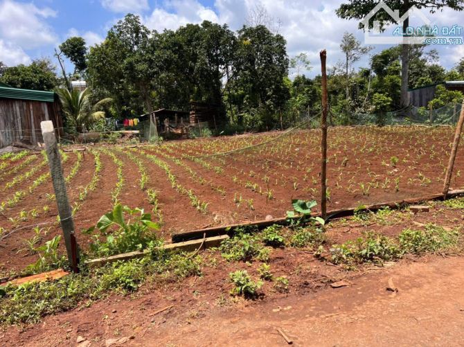 Ea Drong buôn Kroa A nay thuộc Cuor Đăng đoạn gần sân bóng cách chợ Đạt Lý 2km - 1