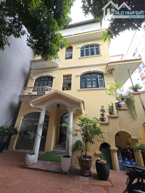 NHÀ ĐẤT TRƯƠNG ĐỊNH_ BẠCH MAI_SIÊU BIỆT THỰ SÓT LẠI MẢNH ĐẤT HIẾM - 1