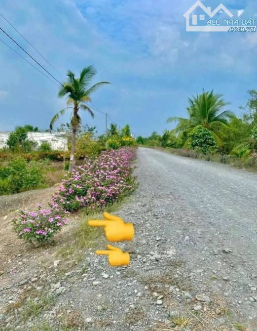Chủ gửi bán nhà vườn 500m2 vườn. Tân Thành - Thủ thừa - long an - 1