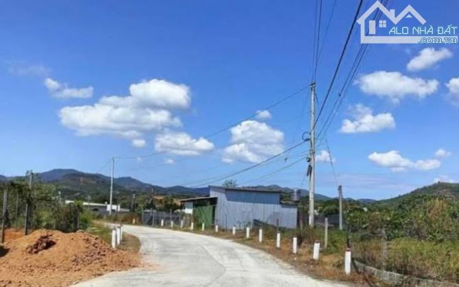 CỰC HIẾM❗️Bán nhà vườn sầu riêng đường Blaoxere Đại Lào, phường 3 Bảo Lộc. - 1