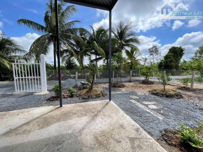 Chủ gửi bán nhà vườn 500m2 vườn. Tân Thành - Thủ thừa - long an - 12