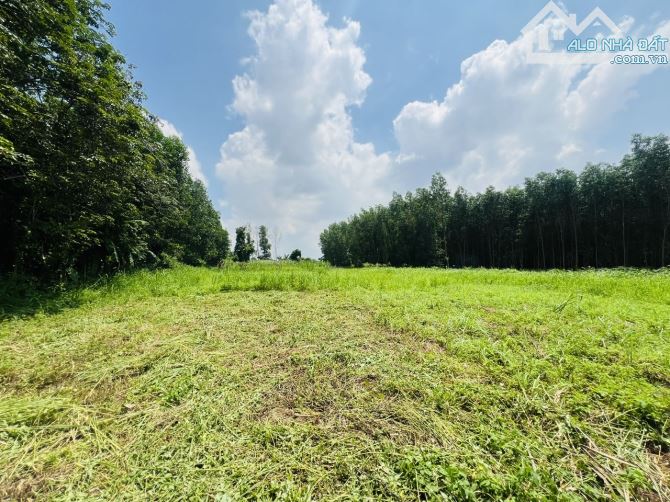 Bán đất vườn hơn 5 xào xã Bình Lợi view sông Đồng Nai, sổ hồng riêng - 2