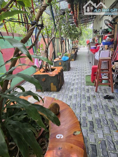 Bán nhà mặt bằng quán cafe sân vườn đường Đỗ Đăng Tuyển xã An Nhơn Tây Củ Chi TPHCM, 8x60m - 2