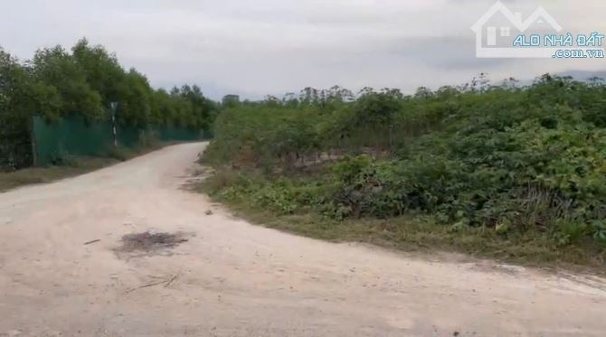 Đẩy nhanh đất diện tích 4.540m2 Ninh Tây, Khánh Hòa, giá 4.5 Tỷ - 2