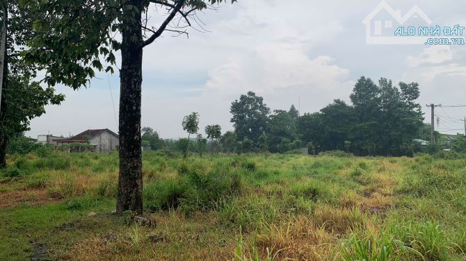 CƠ HỘI TỐT CHO NHÀ ĐẦU TƯ – BÁN ĐẤT MẶT TIỀN ĐƯỜNG TÂN HIỀN, PHƯỜNG TRẢNG DÀI, ĐỒNG NAI - 2