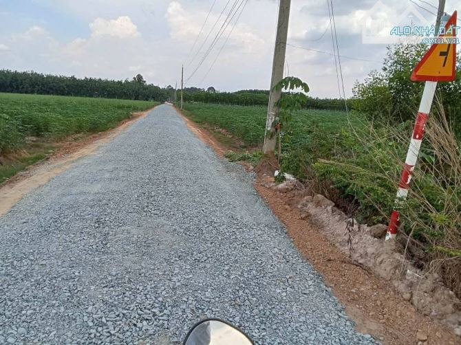 Bán đất trồng mì mặt tiền nhựa xã Ninh Điền Châu Thành Tây Ninh, DT: 370x250m. - 2