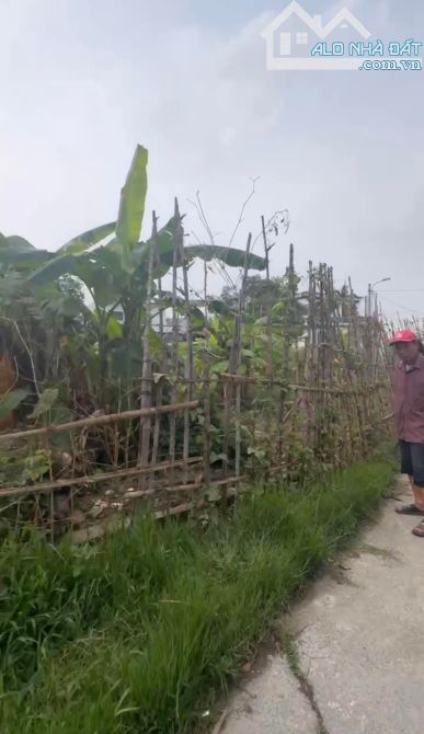 CƠ HỘI ĐẦU TƯ SINH LỜI ĐÂY Ạ Chính chủ em cần bán đất ĐẨU SƠN VĂN ĐẨU KIẾN AN Diện tích 10 - 2