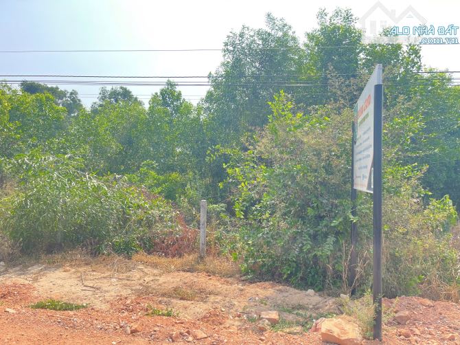 Bán 10m x 100m đất thổ cư Đường Lương Định Của, LaGi giá rẻ nhất gần UBND - 2