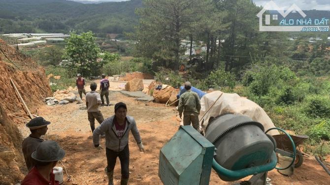 3 HECTA ĐẤT TRIỀN VIEW ĐỒI THÔNG - ĐÀ LẠT - 2